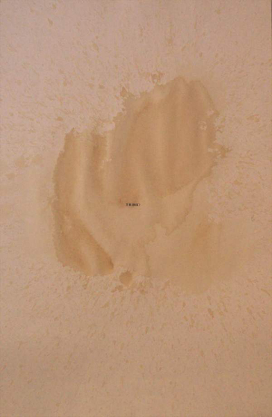 the coca-cola incident